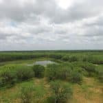 DJI_0026