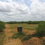 DJI_0031