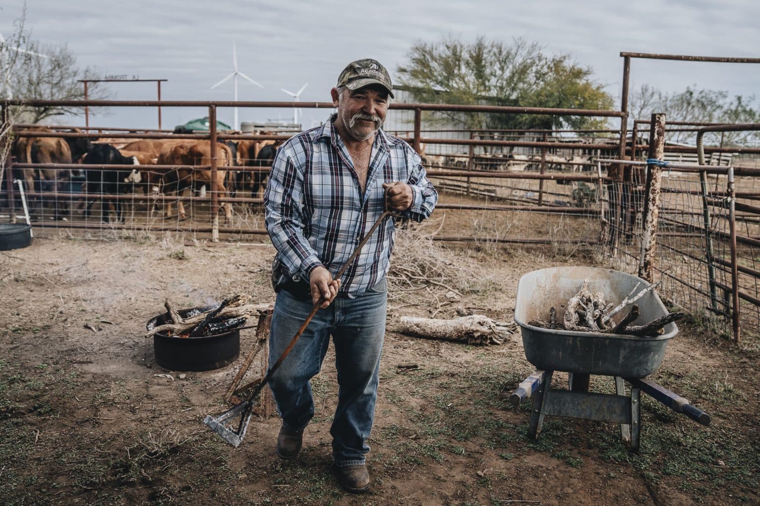 Tromba Ranch Cattle Round Up January 2020 Busbee Ranches